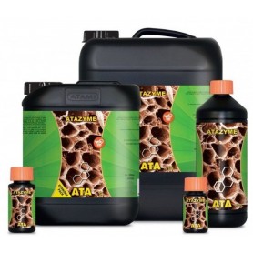 ATAZYME ATA ATAZYME ATA