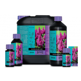 BLOSSOM BUILDER  B´CUZZ BLOSSOM BUILDER  B´CUZZ