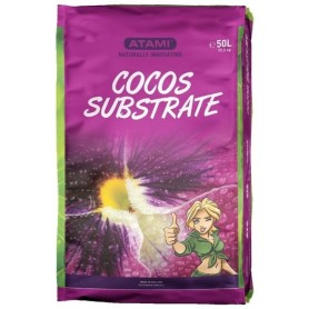 SUSTRATO COCO B´CUZZ
