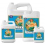 SENSIZYM ADVANCED NUTRIENTS