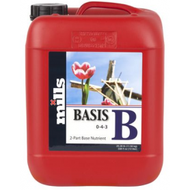BASIS B MILLS BASIS B MILLS
