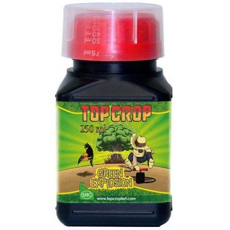 GREEN EXPLOSION TOP CROP