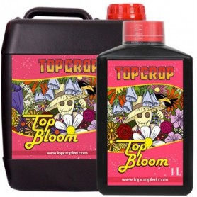 TOP BLOOM TOP CROP TOP BLOOM TOP CROP
