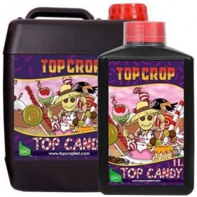 TOP CANDY TOP CROP TOP CANDY TOP CROP
