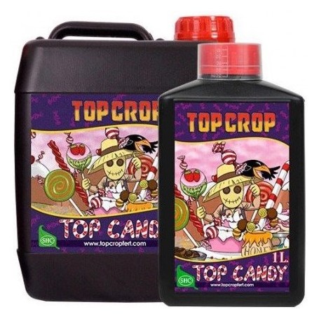 TOP CANDY TOP CROP