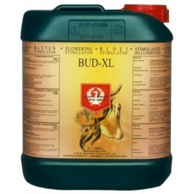 BUD XL H&G BUD XL H&G