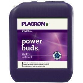 POWER BUDS POWER BUDS
