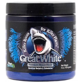 GREAT WHITE SHARK GREAT WHITE SHARK
