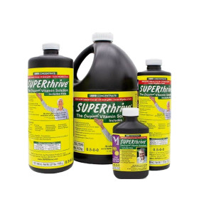 SUPER THRIVE SUPER THRIVE