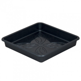 SQUARE PLATE SQUARE PLATE