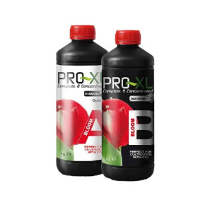 BLOOM A+B PRO-XL BLOOM A+B PRO-XL