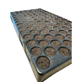 PLUG TRAY 104 EASY CLONE PLUG TRAY 104 EASY CLONE