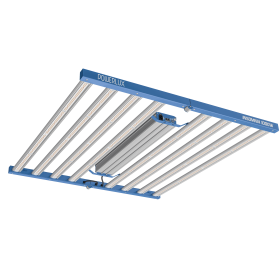 LED-LEUCHTE INSOMNIA 1000W 2.9 POWERLUX