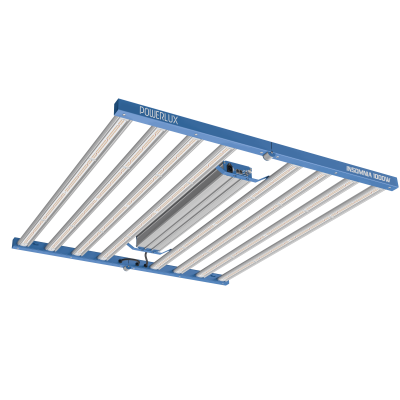 LED-LEUCHTE INSOMNIA 1000W 2.9 POWERLUX