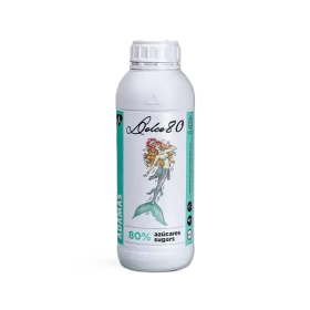 DOLCE 80 EXCELLENT NUTRIENTS DOLCE 80 EXCELLENT NUTRIENTS
