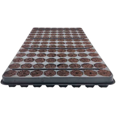 STECKLINGSPLATTE 104 EASY CLONE PRO