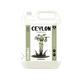 CEYLON EXCELLENT NUTRIENTS CEYLON EXCELLENT NUTRIENTS
