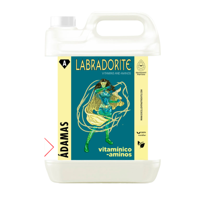 LABRADORITE (Á-DAMAS)