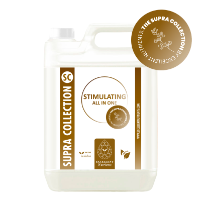 STIMULATING ALL IN ONE (SUPRA COLLECTION)