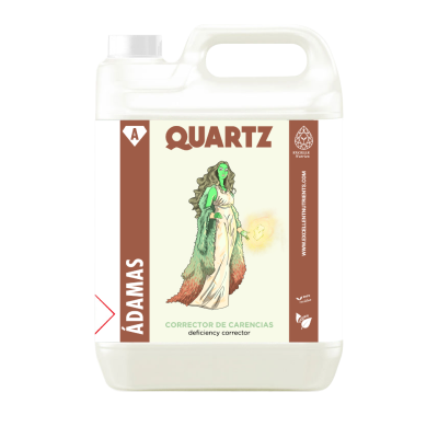 QUARTZ (Á-DAMAS)